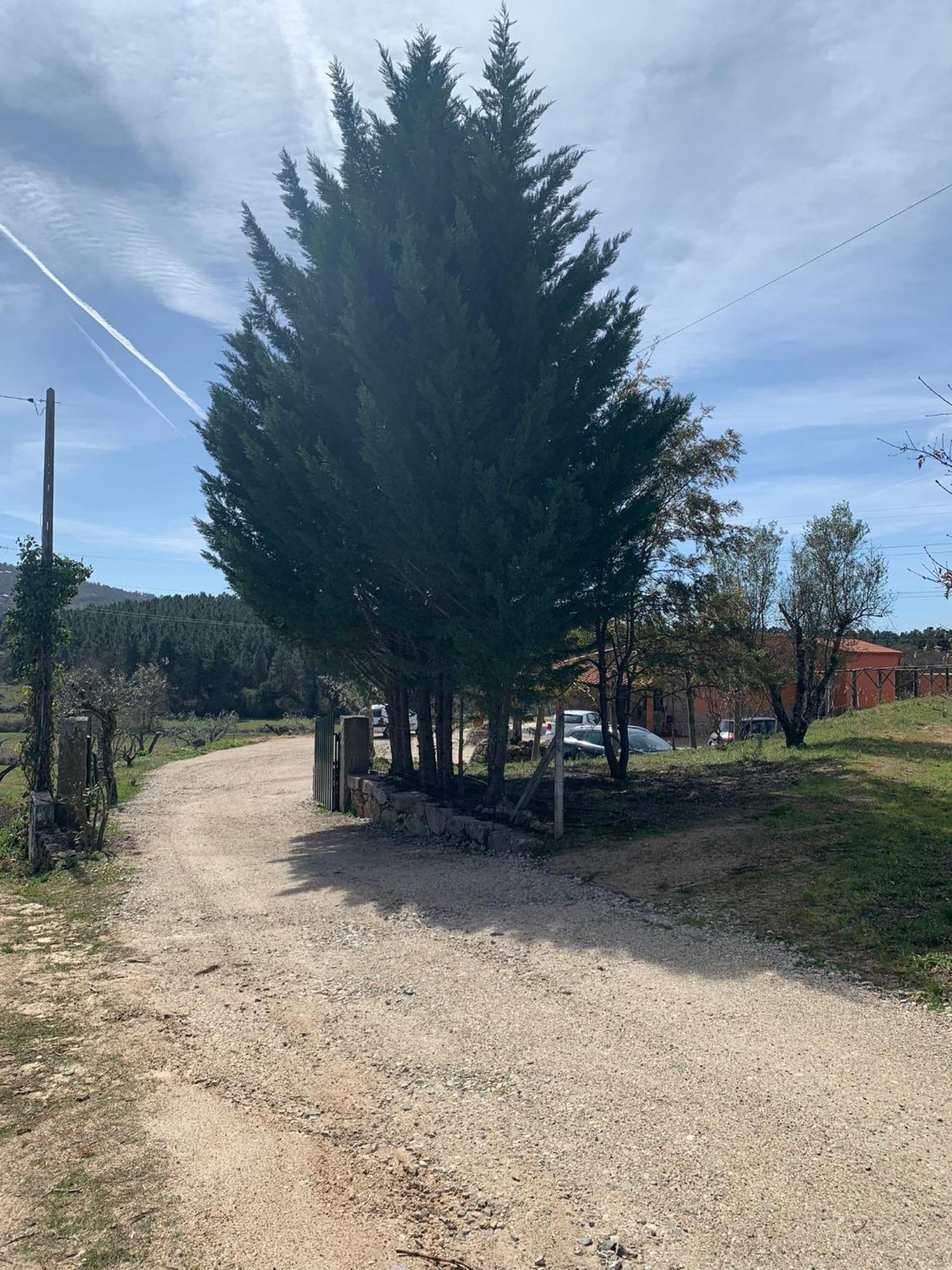 Quinta Dos Cedros L Turismo Rural Ковильян Экстерьер фото