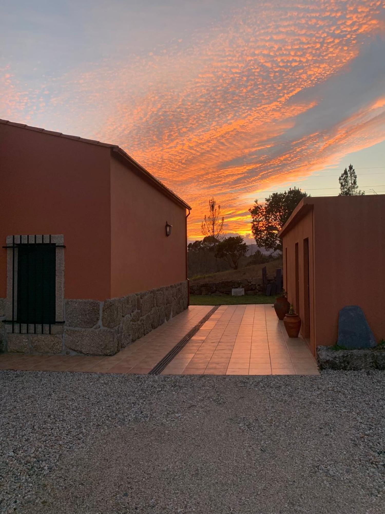 Quinta Dos Cedros L Turismo Rural Ковильян Экстерьер фото